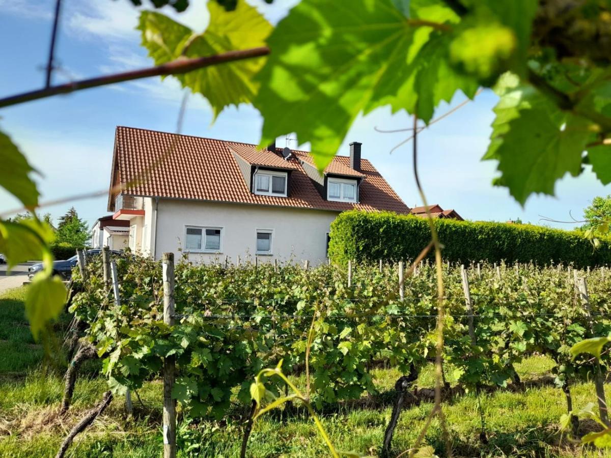 Ferienwohnung Am Schoosberg, Niederkirchen Bei Deidesheim Exteriör bild