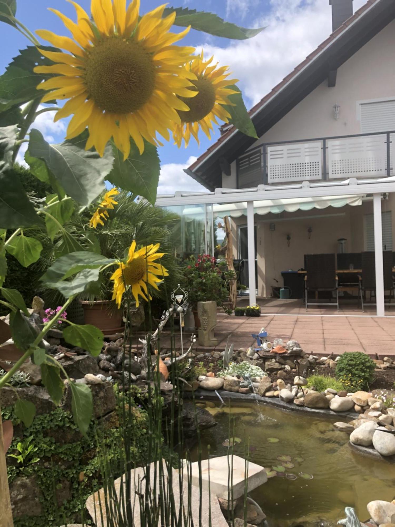 Ferienwohnung Am Schoosberg, Niederkirchen Bei Deidesheim Exteriör bild